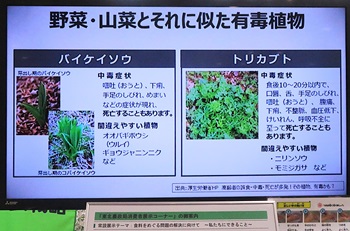 サイネージ