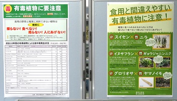 展示前面