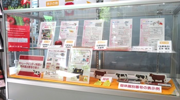 ショーケース全体