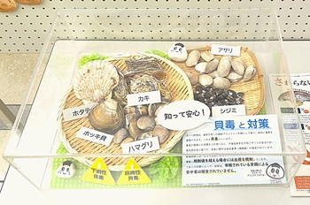 立体展示