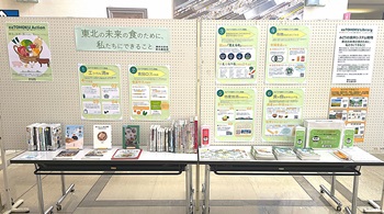 展示全景