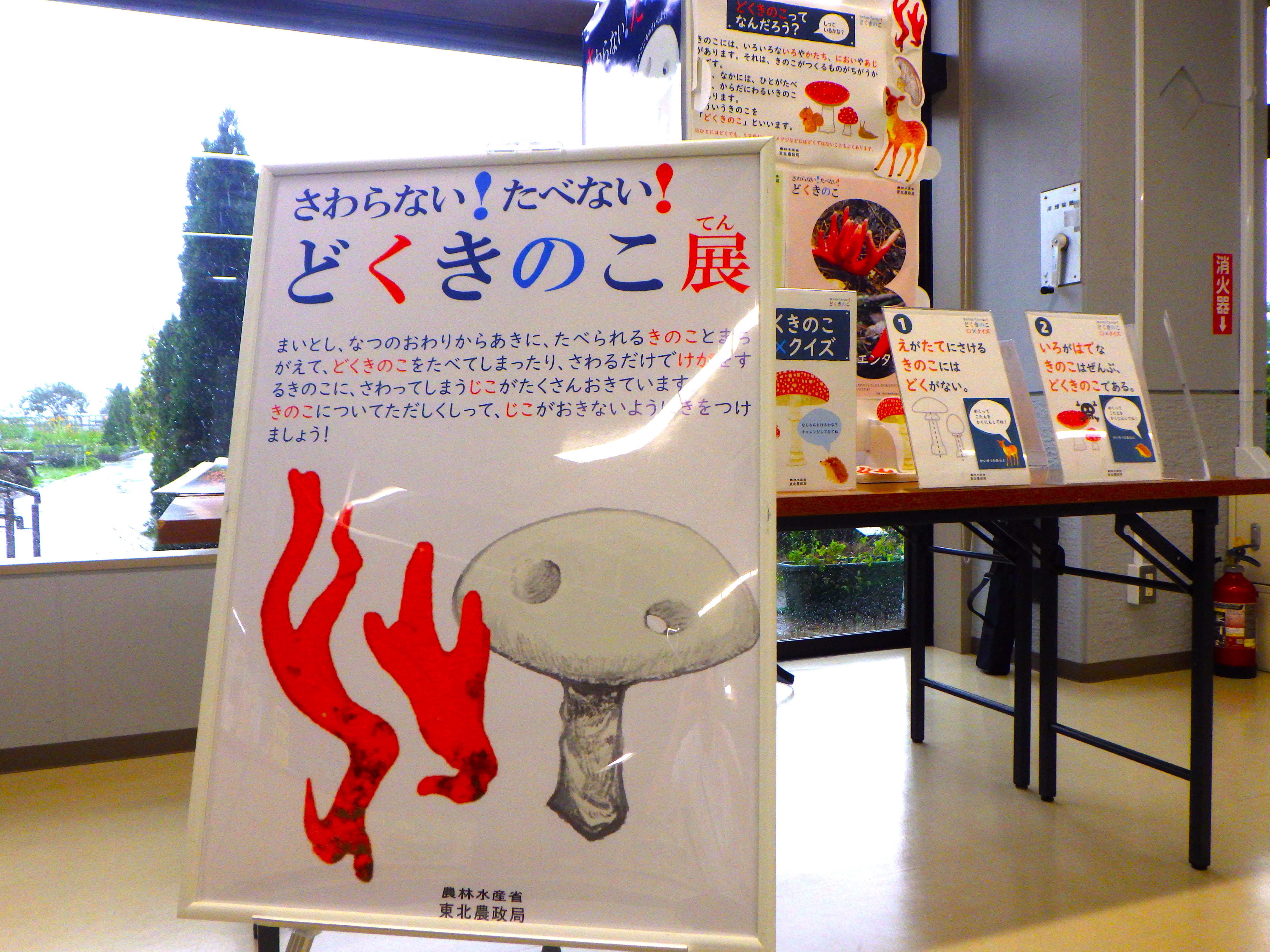 さわらない！たべない！どくきのこ展