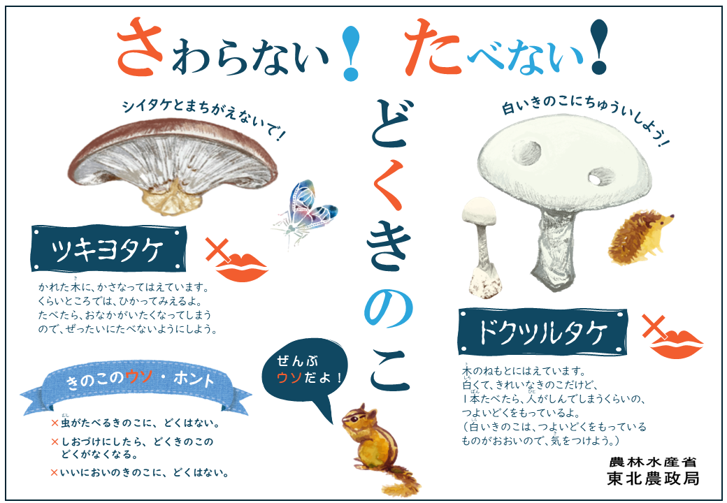 毒キノコの注意喚起に関する啓発チラシ