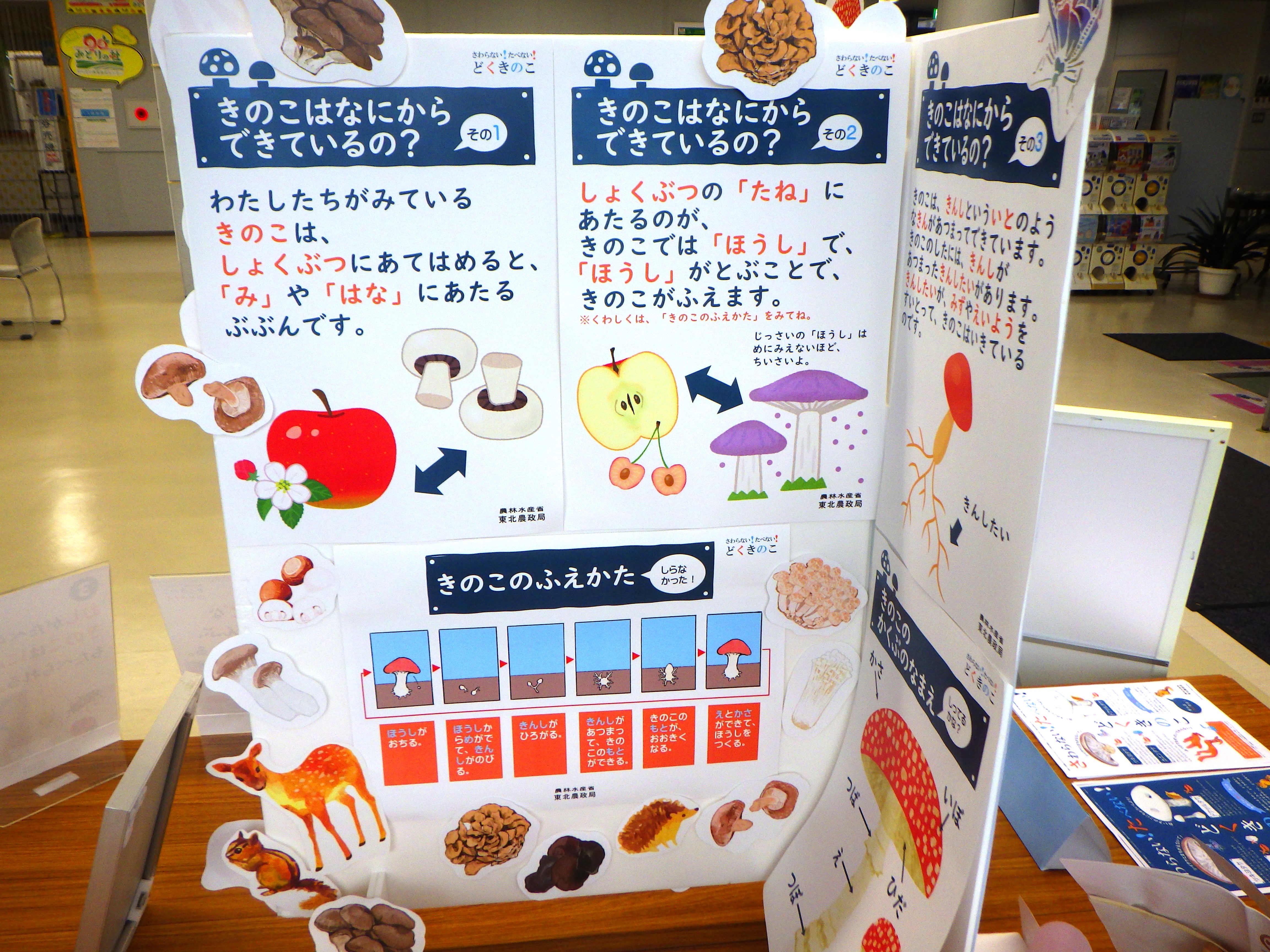 キノコの生態を紹介する展示パネル