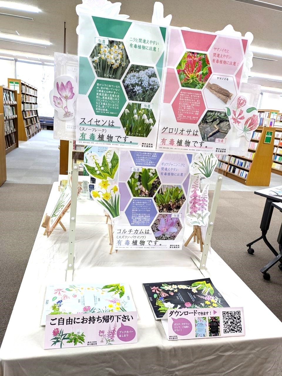 食用植物と間違えやすい有毒植物の見分け方を解説した展示パネル