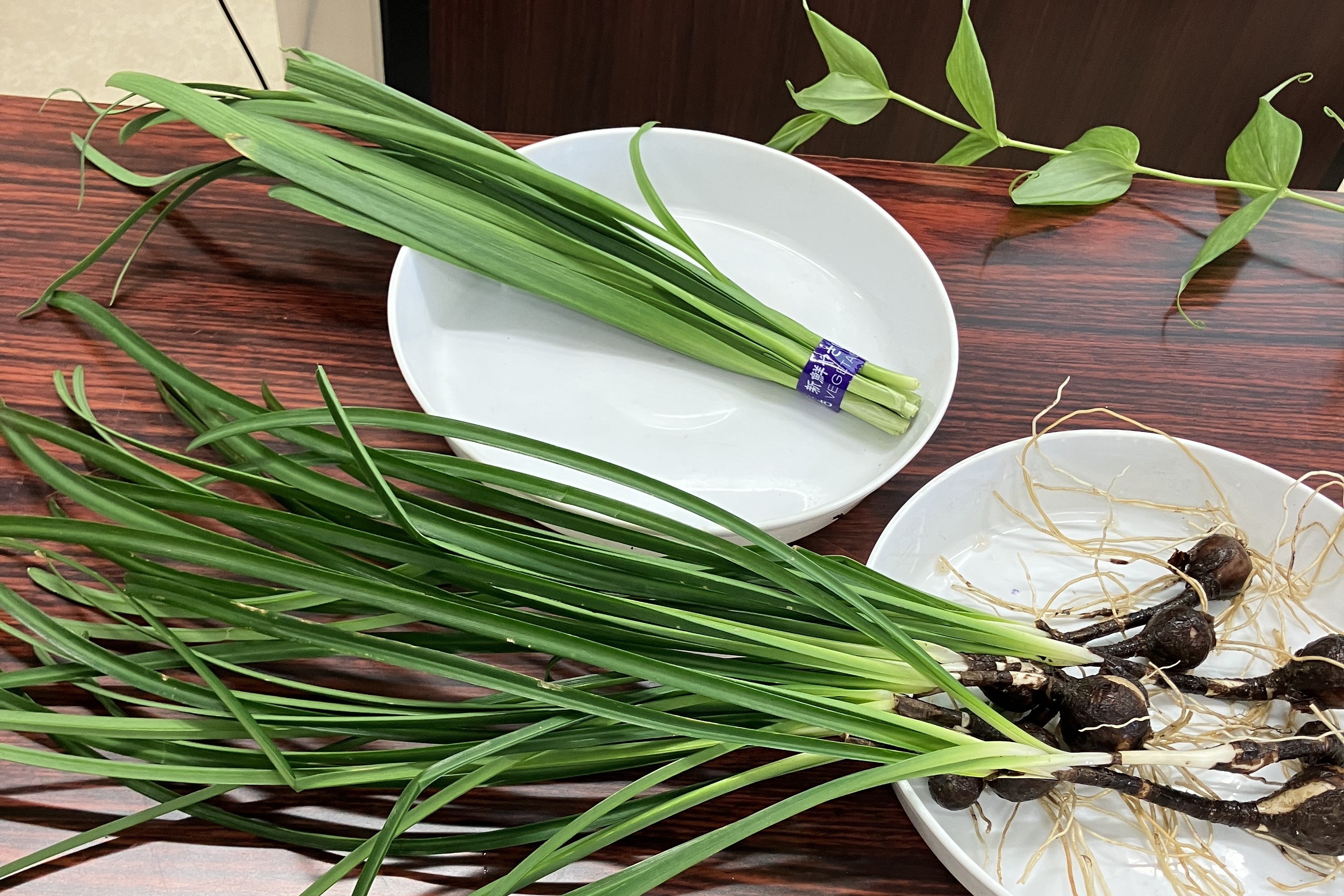 ニラとスイセン