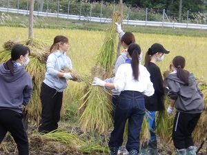 杭がけの様子