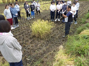 一人が一日に食べる稲の量を説明する上野氏