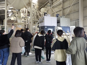 大豆の乾燥調製施設