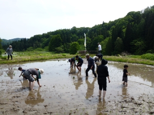 子供から大人までみんなで田植え