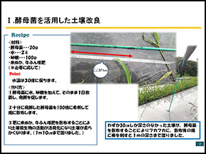 土づくりの取組事例