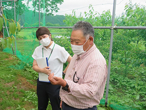 栽培について説明する 生産者の蹴揚さん（右）