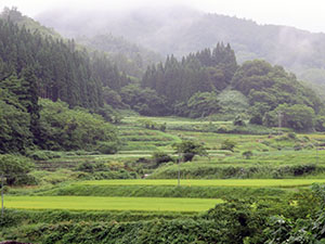 「大川原棚田」の遠景