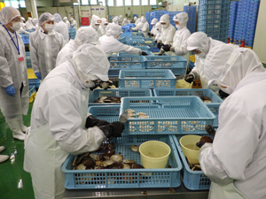自社工場での加工作業