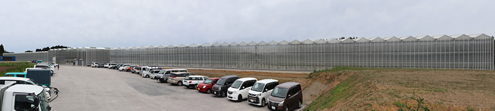 大規模ガラス温室施設を整備しトマト栽培に取り組む事業者を訪問しました