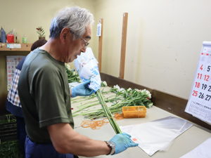 規格ごとに揃えた花を 出荷用に慎重に束ねて包装