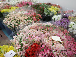 冷蔵庫内で出荷を待つ 色とりどりの花