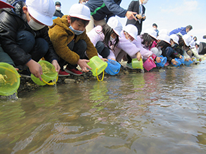 稚魚を放流する小学生