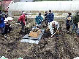 地面に敷いた遮根シートの上に盛土をして苗を植え付ける様子