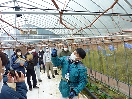 せん定の技術を学ぶ参加者の様子