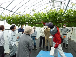 熱心に説明を聞く参加者の様子