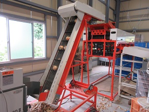 たまねぎ選果機