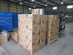 生食用たまねぎ(段ボール出荷)