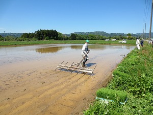 田植え作業(がじ引き)
