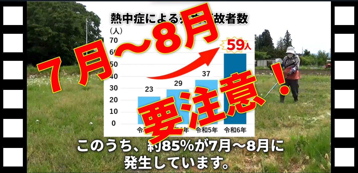 動画のスクリーンショット(図表)
