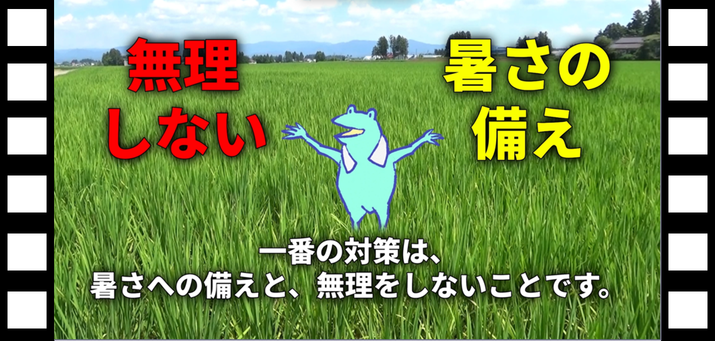 動画のスクリーンショット(一番の対策)