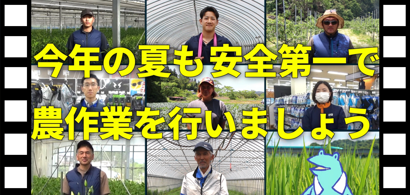 動画のスクリーンショット(今年の夏も)