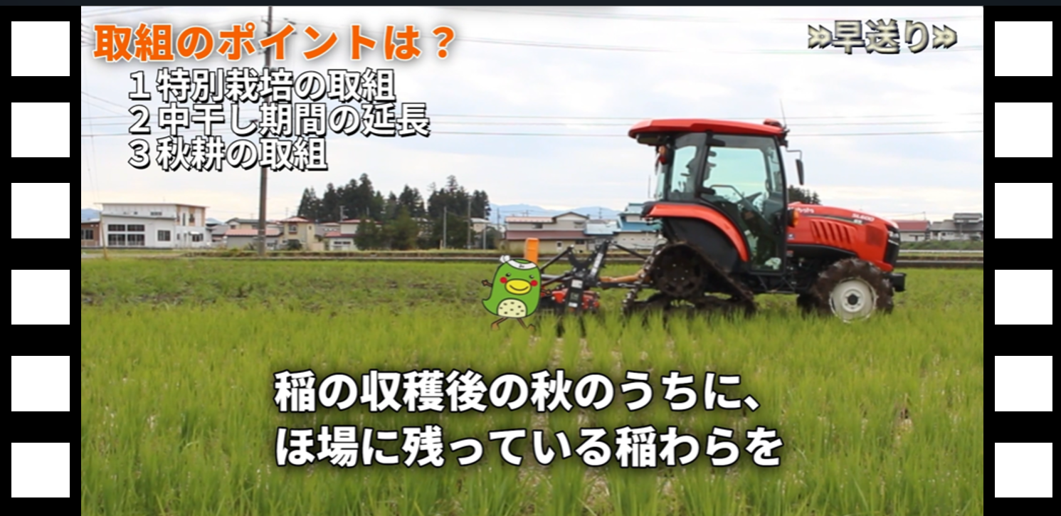 動画のスクリーンショット(取組のポイント)