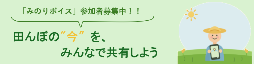 「みのりボイス」参加者募集中