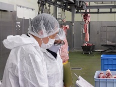 説明を受ける局長