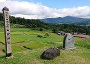 実り初めの棚田の風景