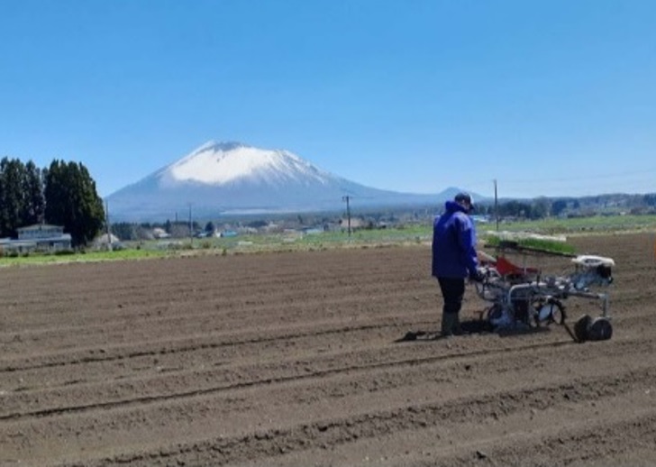 岩手山を望むねぎ畑