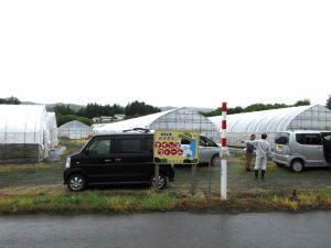 研修ほ場