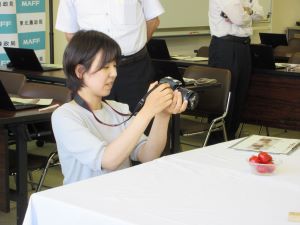一眼レフカメラで実際に撮影