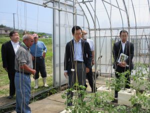 （農）宇部川ファームの現地視察の様子（中央が前島局長）