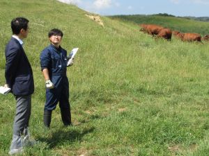 牧場担当者から説明を受ける前島局長 （久慈市短角牛基幹牧場にて）