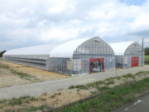 先進園芸実証農場