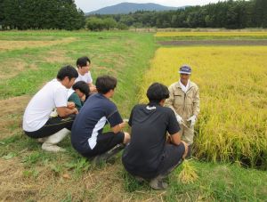 学生が稲刈りの説明を受ける様子