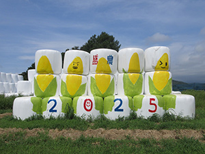 牧草ロールを使った牧草アート