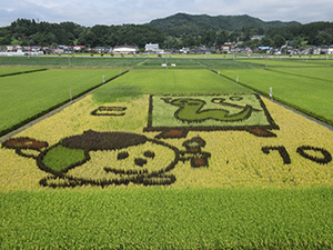 一方井地区の田んぼアート