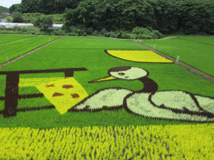 浮島地区の田んぼアート