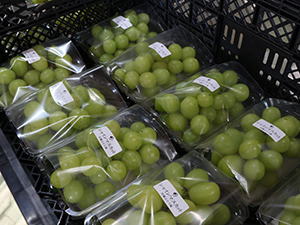 シャインマスカット