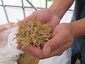 エコフィード飼料