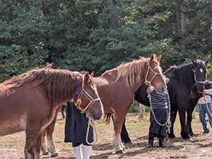 町共進会の様子