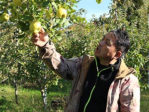 りんごを手に今年の出来栄えを話す菅野代表取締役