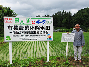 田んぼの学校の水田